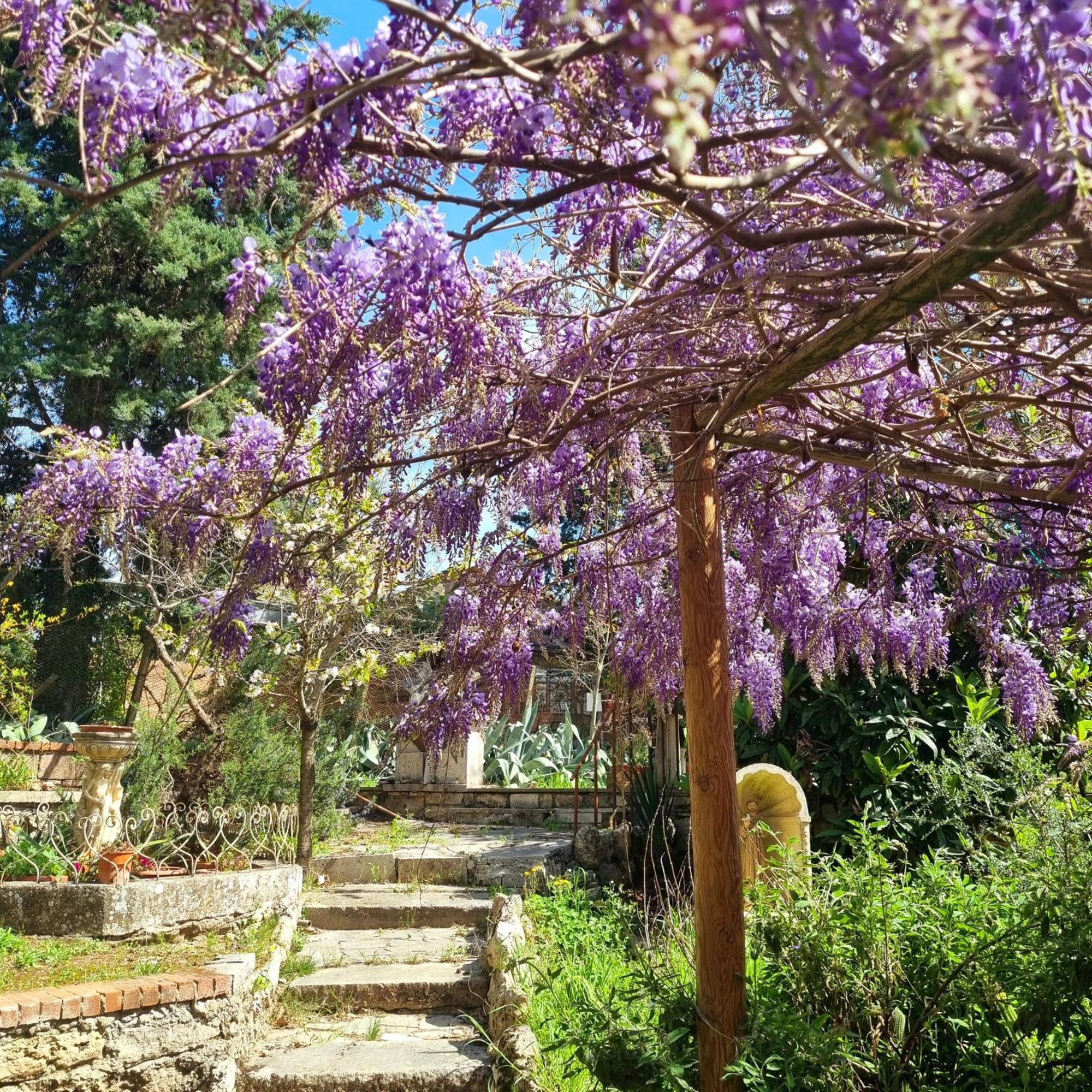San Francesco Hotel Rapolano Terme Buitenkant foto